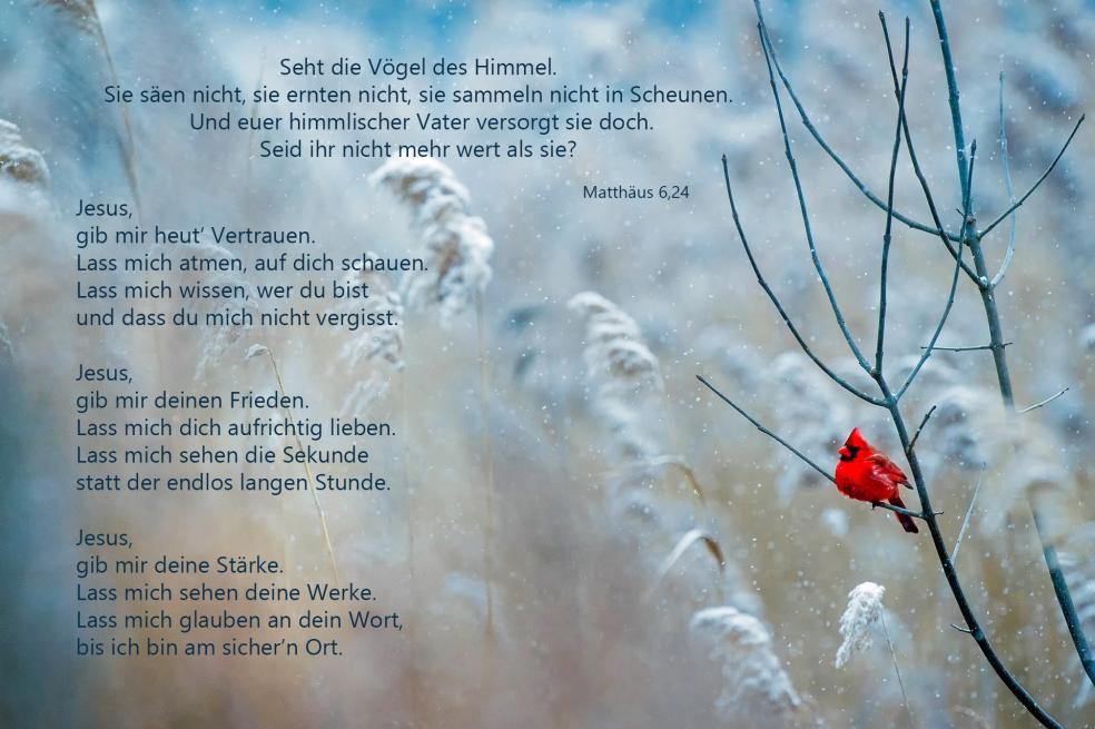 2. Dezember Damaris
