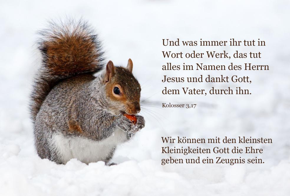 17. Dezember Heiko