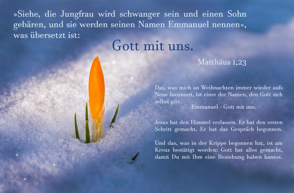 23. Dezember Sarah